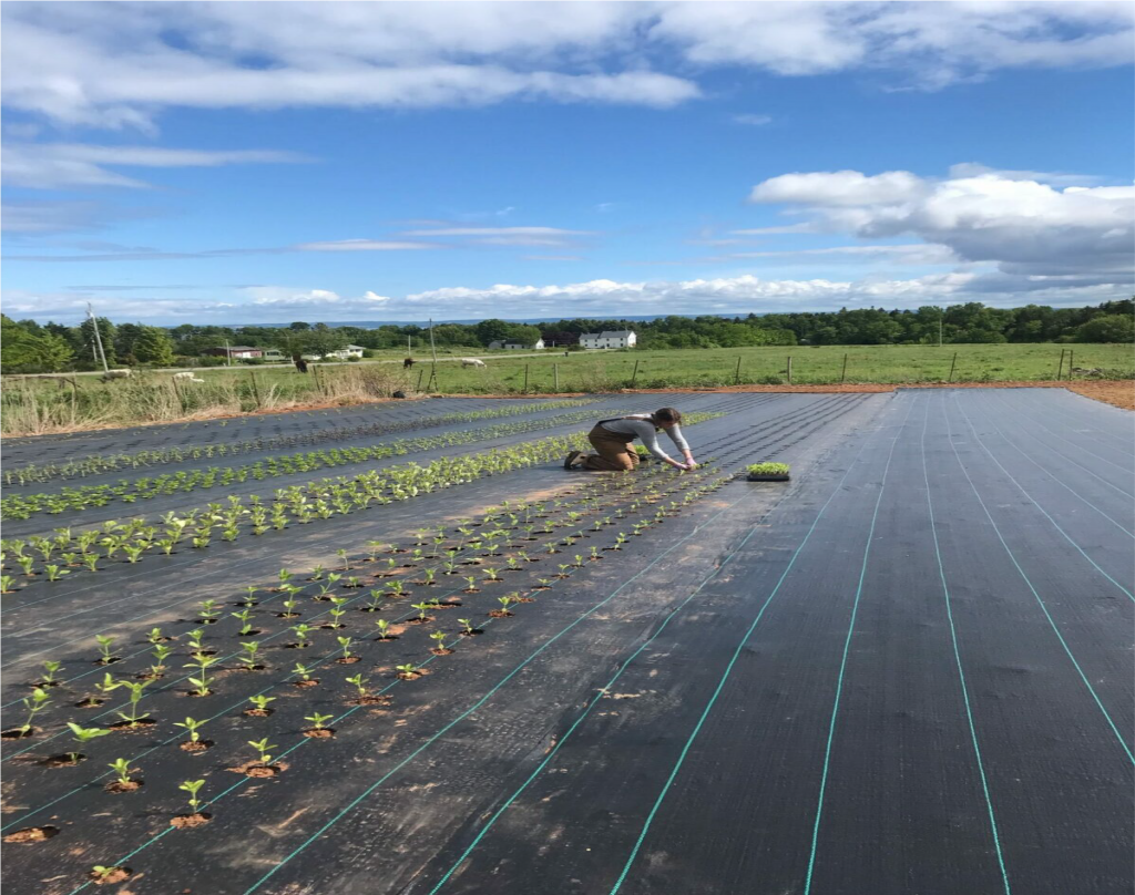 Agricultural weed mat applications